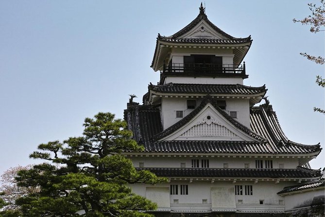 1-Day Kochi Highlights Tour with local guide - Chikurinji Temple and the quiet side of Kochi