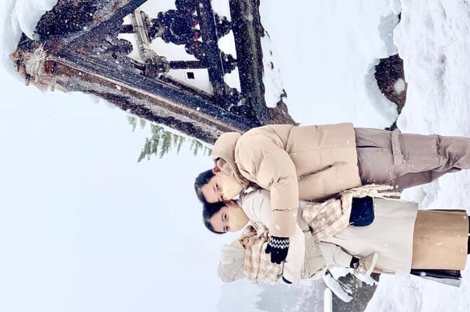 1 Day Private Charter Tour to Shirakawa-go & Takayama - Why this private day trip is useful from Kanazawa