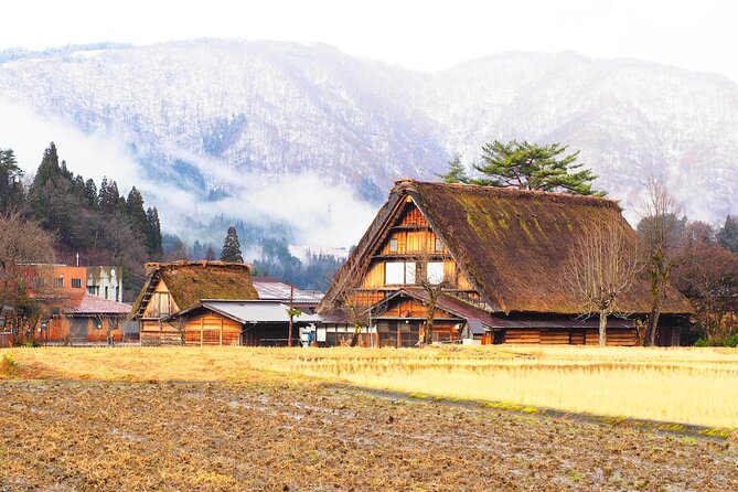 1 Day Private Charter Tour to Shirakawa-go & Takayama - Ogimachi Castle Old Site Observatory: the best wide view