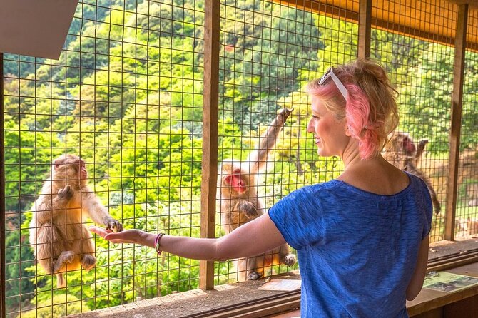 1-Day Private Snow Monkey ZenkoJi Temple & SakeTasting NaganoTour - Why this private Nagano day works well