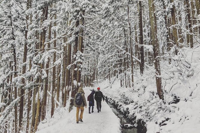 1-Day Snow Monkeys, Zenko-ji Temple & Sake in Nagano - The forest path to the snow monkeys