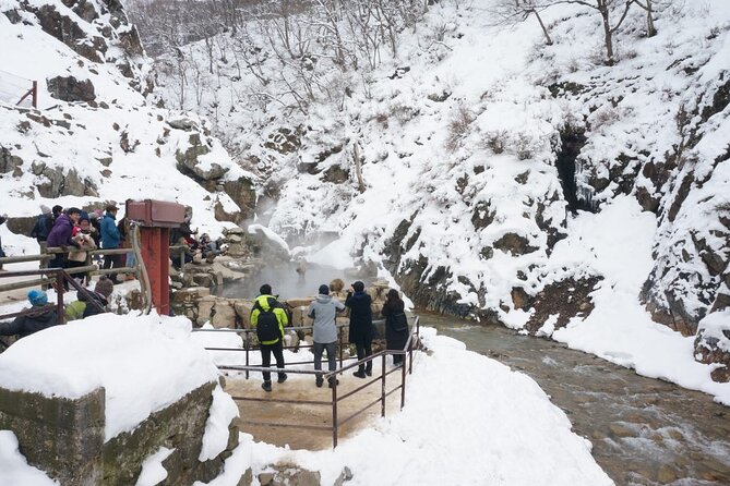 1-Day Snow Monkeys, Zenko-ji Temple & Sake in Nagano - Winter planning, Hakuba connections, and the return train