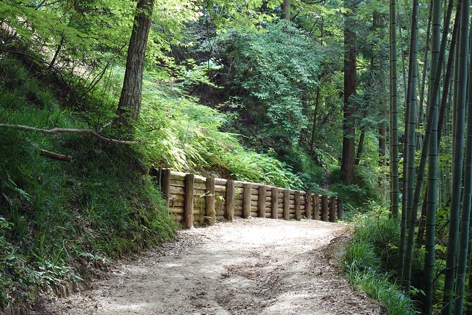 1-Day Tour from Matsumoto: Walk the Nakasendo Trail - What the walking section feels like in practice