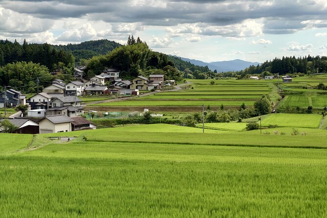 1-Day Tour from Matsumoto: Walk the Nakasendo Trail - Magome-juku and the final descent