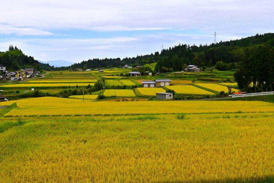 1-Day Tour from Nagoya: Hiking the Historic Nakasendo Trail - Why this Nakasendo day trip works
