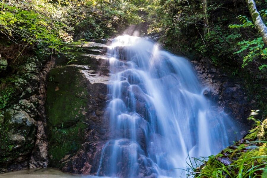 1-Day Tour from Nagoya: Hiking the Historic Nakasendo Trail - The guide and driver make the difference