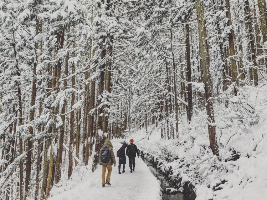 1 Day Tour: Snow Monkeys & Snow Fun in Shiga Kogen - The trail to Jigokudani is part of the reward
