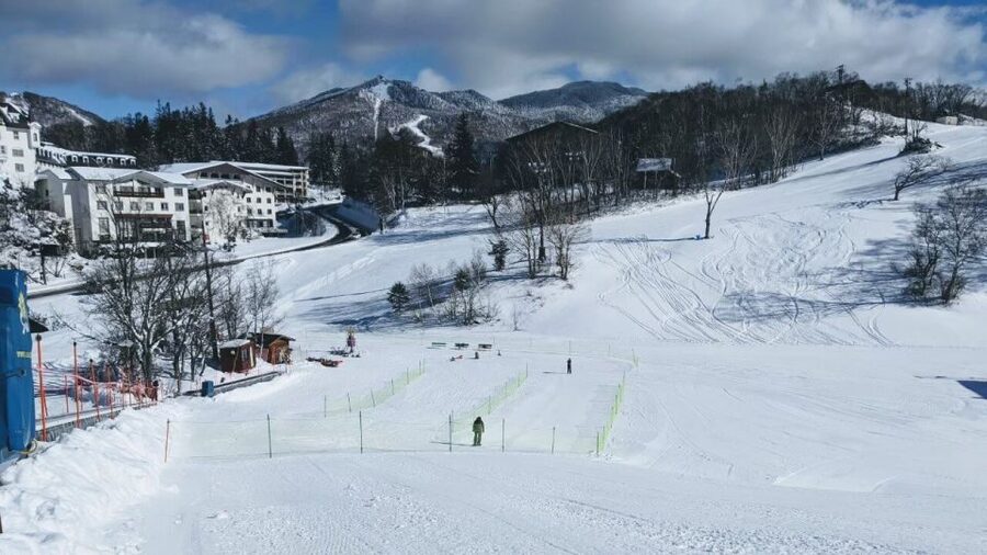1 Day Tour: Snow Monkeys & Snow Fun in Shiga Kogen - Why Jigokudani’s snow monkeys are so special