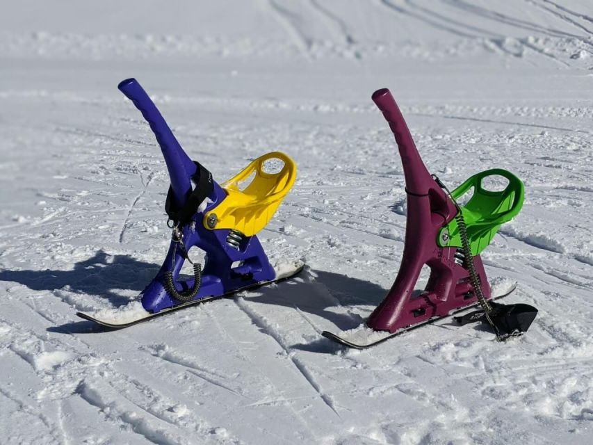 1 Day Tour: Snow Monkeys & Snow Fun in Shiga Kogen - Guides and drivers make the practical difference