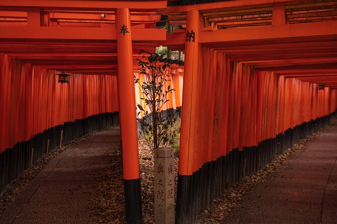 10 Must-see Spots in Kyoto One Day Private Tour (up to 7 people) - Fushimi Inari and the famous torii path