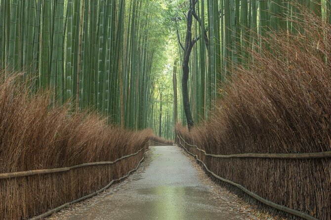10 Must-see Spots in Kyoto One Day Private Tour (up to 7 people) - Arashiyama’s bamboo and Tenryu-ji garden