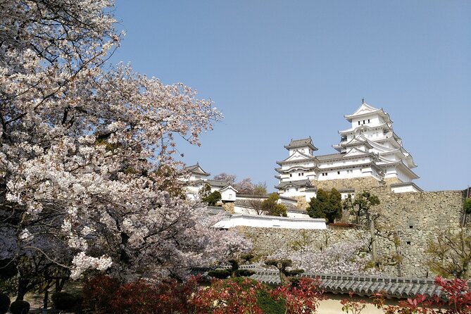 2.5 Hour Private History and Culture Tour in Himeji Castle - A flexible tour for families and mixed interests