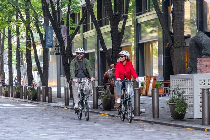 3-Hour Tokyo Private E-Bike Tour Starting from Your Hotel - Key points before you pedal away