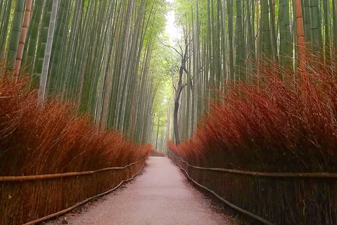 Afternoon Kyoto Bike Tour: Bamboo Forest, Monkeys & Hidden Spots - How much value do you get for $106.12?