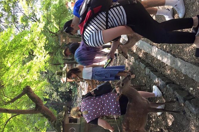 All must-sees in 3 hours - Nara Park Classic Tour! From JR Nara! - The guides make the difference