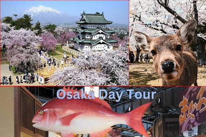 Amanohashidate & Ine Boathouse Full-Day Tour from Kyoto or Osaka - Meeting points, timing, and group size