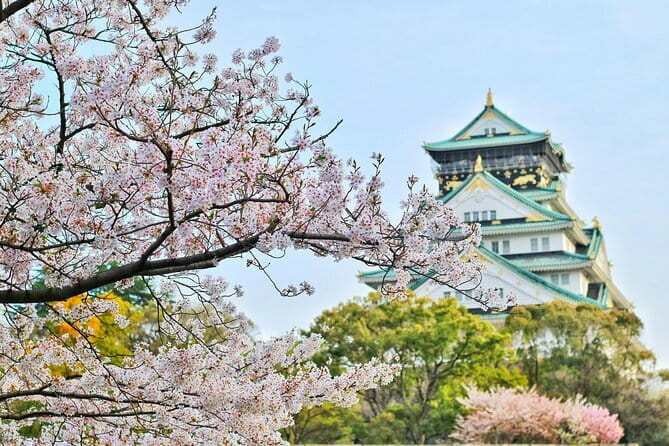 Amanohashidate & Ine Boathouse Full-Day Tour from Kyoto or Osaka - What the $48.88 price really covers