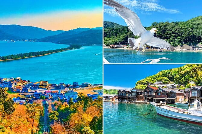 Amanohashidate & Ine Boathouse Full-Day Tour from Kyoto or Osaka - Ine’s funaya houses are the day’s most unusual sight