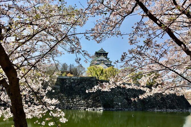 Amanohashidate & Ine Funaya Sightseeing Full Day Trip from Kyoto - Ine Cafe and Ineura Park slow the pace