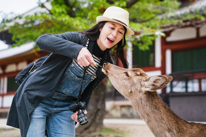 Ancient Capital Tour: Kyoto and Nara Highlights from Kyoto/Osaka - Key Points Before You Book