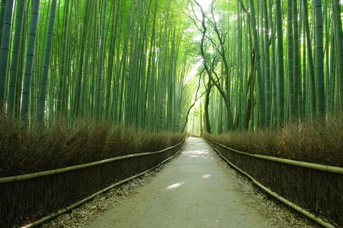 Ancient Capital Tour: Kyoto and Nara Highlights from Kyoto/Osaka - The Bus Makes Hard Connections Easier