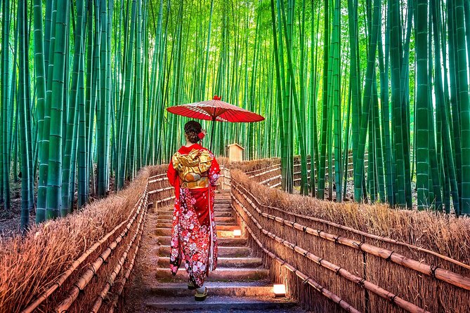 Ancient Capital Tour: Kyoto and Nara Highlights from Kyoto/Osaka - Walking, Crowds, and the Pace of the Day