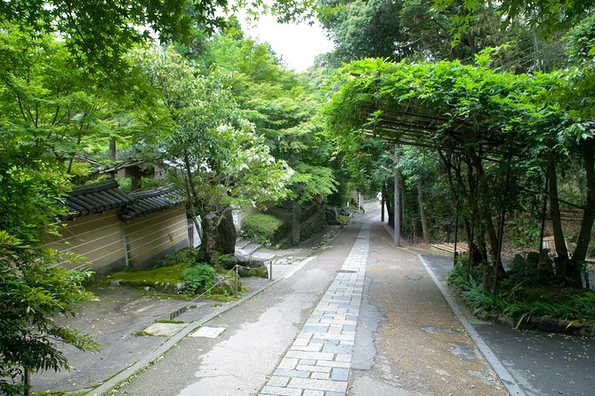 Arashiyama Bamboo Forest E-Biking Tour - Why an e-bike makes sense in Kyoto
