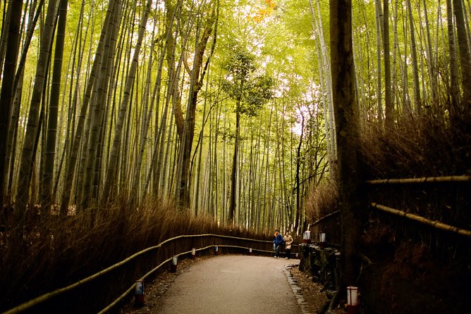 Arashiyama Bamboo Forest E-Biking Tour - Otagi Nenbutsu-ji and its 1,200 stone figures