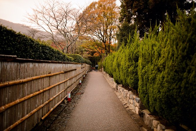 Arashiyama Bamboo Forest E-Biking Tour - Tōji-in, moss, and a quieter temple mood