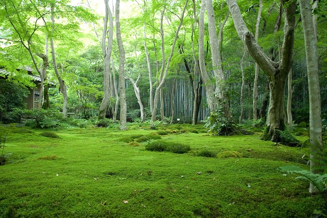 Arashiyama Bamboo Forest E-Biking Tour - Riding through Kyoto’s countryside