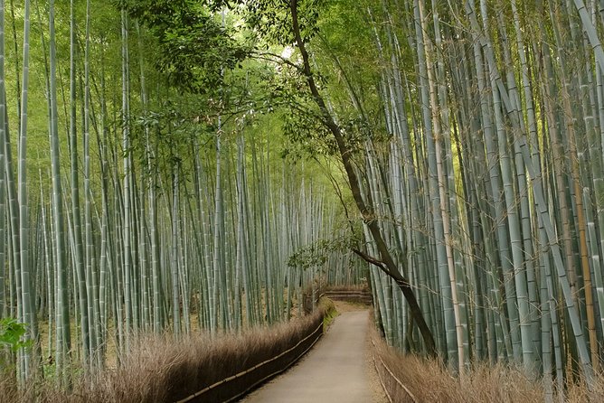 Arashiyama Bamboo Forest E-Biking Tour - The Arashiyama Bamboo Forest stop