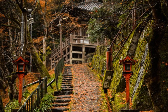 Arashiyama Bamboo Forest E-Biking Tour - Who will enjoy this ride most