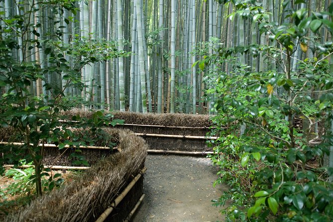 Arashiyama Bamboo Forest E-Biking Tour - Starting at NORU Kyoto Bike Tours