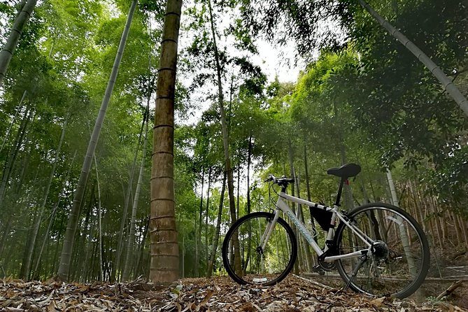 Arashiyama Bamboo Forest & Hidden Gems Bike Tour (Early Bird) - What the $106.12 Price Gets You