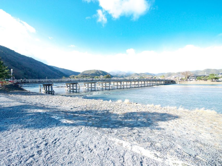 Arashiyama Bamboo, Temple, Monkeys, or Secret Sake Brewery - Iwatayama Monkey Park: the demanding finale
