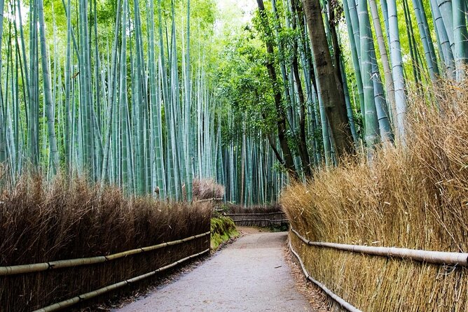 Arashiyama from Kyoto: Private & Personalized with a Local Guide - Monkey Park Iwatayama, where the hike is the attraction
