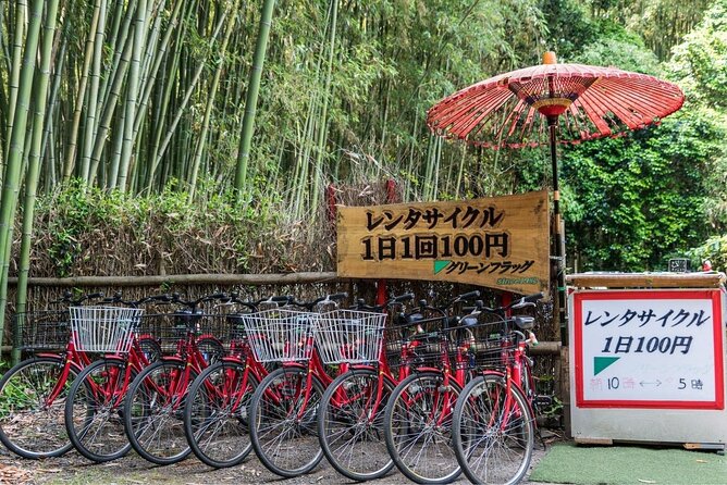 Arashiyama from Kyoto: Private & Personalized with a Local Guide - The guide can make or break the day