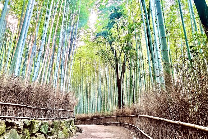Bamboo Grove Temple and Garden Views Tour - Key details to know before booking