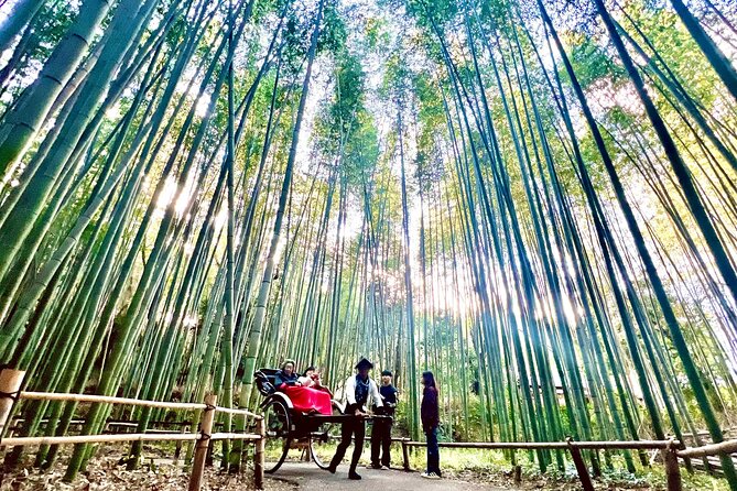 Bamboo Grove Temple and Garden Views Tour - Why this Arashiyama walk works well