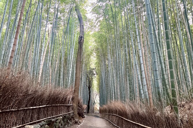 Bamboo Grove Temple and Garden Views Tour - Tenryu-ji’s pond garden and Zen design