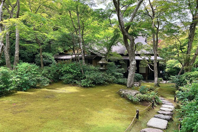 Bamboo Grove Temple and Garden Views Tour - Walking beneath the Arashiyama Bamboo Forest