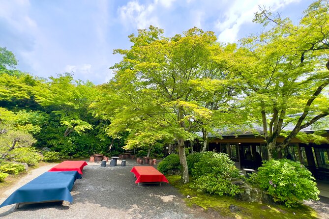 Bamboo Grove Temple and Garden Views Tour - Nonomiya Shrine and the final walk