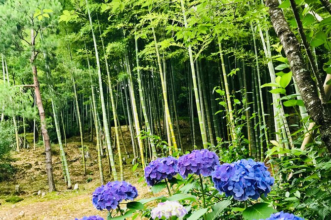 Bamboo LED Lantern Making Experience in Kyoto Arashiyama - Who will enjoy this most?