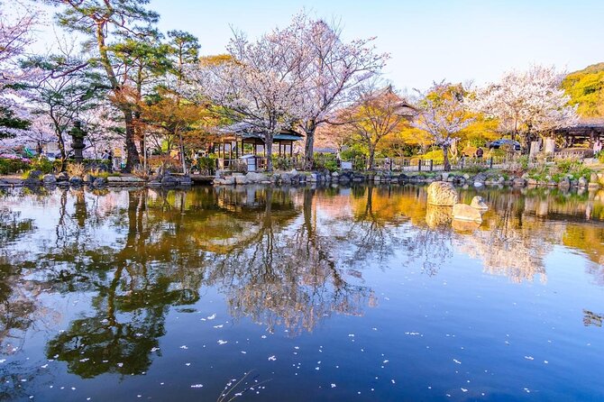 Beautiful Photography Tour in Kyoto - Key points to know before booking