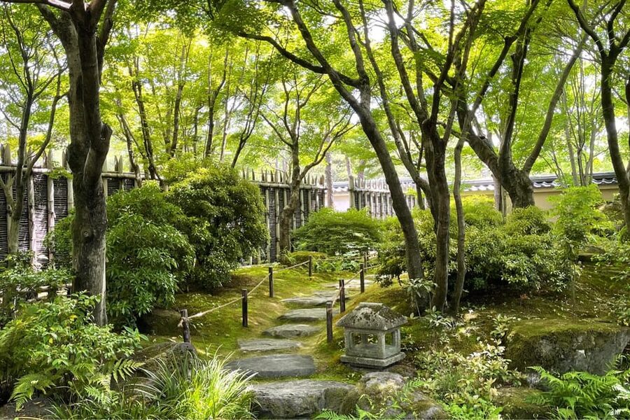 Best of Himeji Castle: 3hr Tour with Licensed Guide - Gerard’s guiding style and local help