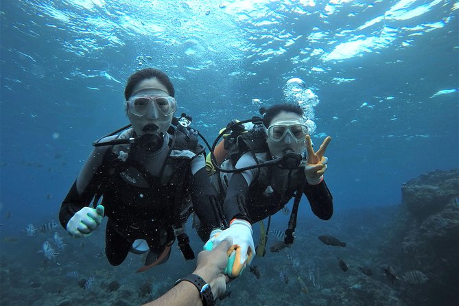 Blue Cave Area Experience Diving!Free feeding & photo images Chinese guide available!1 group with a dedicated instructor - Key Points Before You Book