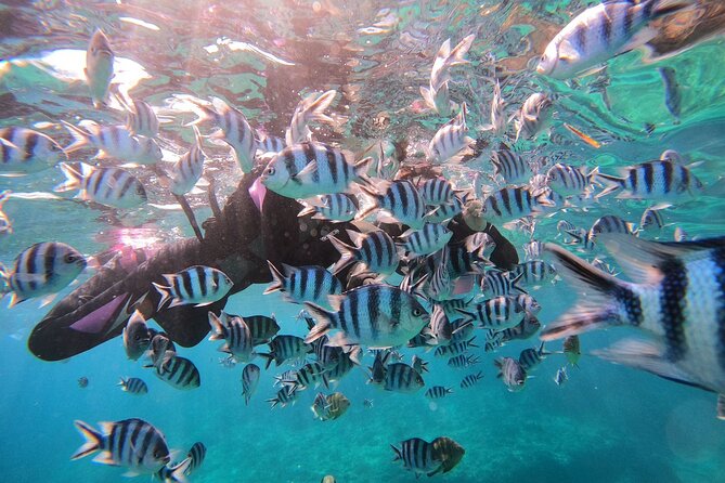Blue Cave Private Snorkeling with Photoshoot - Language and guide support