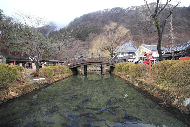 Chartered Private Tour - Tokyo to Nikko, Toshogu, Edo Wonderland - Tamozawa Imperial Villa shows a different side of Japan