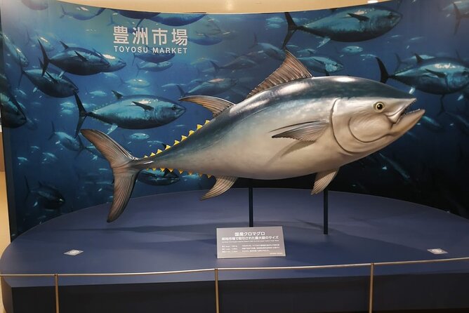 Complete Tuna Auction & Toyosu Fish Market Tour - Why Toyosu works best before breakfast
