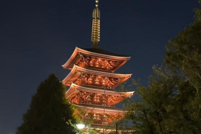 Customizable Private Tokyo Trip with an English Speaking Driver - Senso-ji and the older face of Tokyo